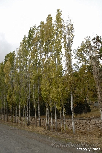 2008-09-30_14-03-11.jpg