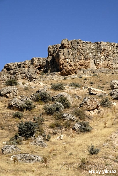 2008-10-01_11-08-57.jpg