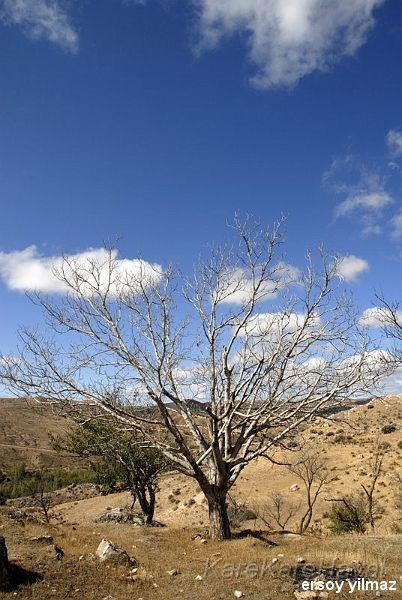 2008-10-01_11-10-24.jpg