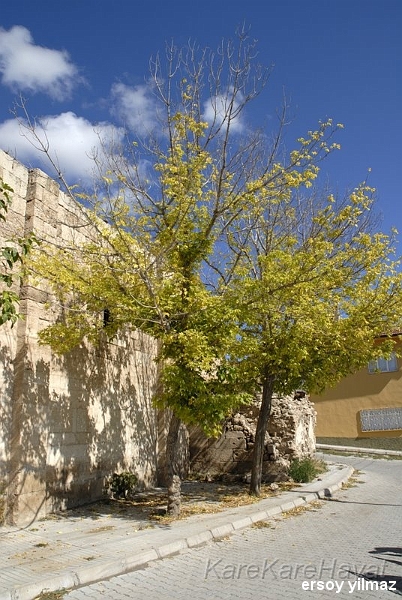 2008-10-01_12-35-45.jpg